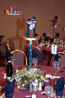 Water Column Centerpiece