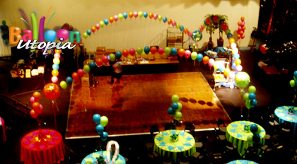 ariel view 