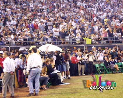 full field 2